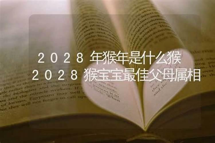 2028年出生属什么生肖的人