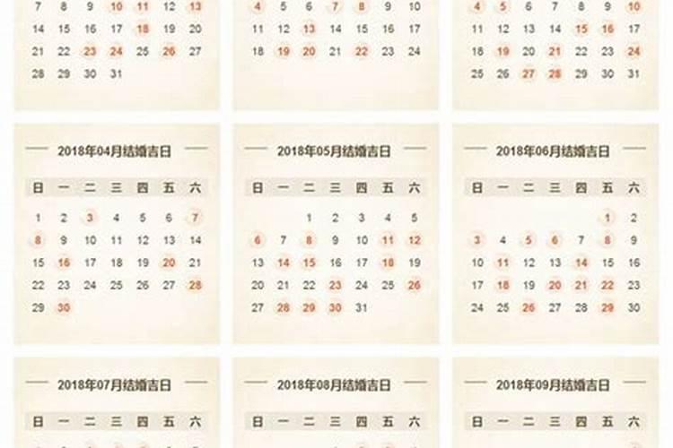 属蛇的12月份是什么星座