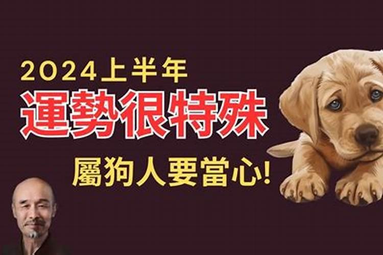 2023年犯太岁属相列表