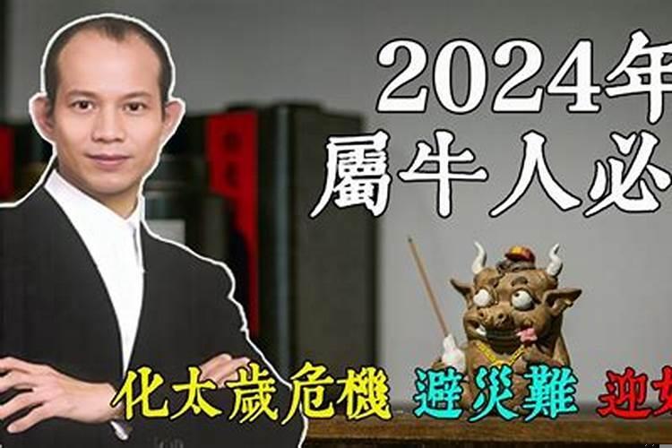 梦见猫咬住自己不放是什么意思