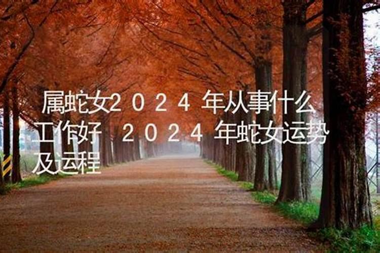 属猴在2021年以后十年大运