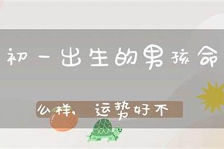 做梦梦见小老虎是什么征兆周公解梦