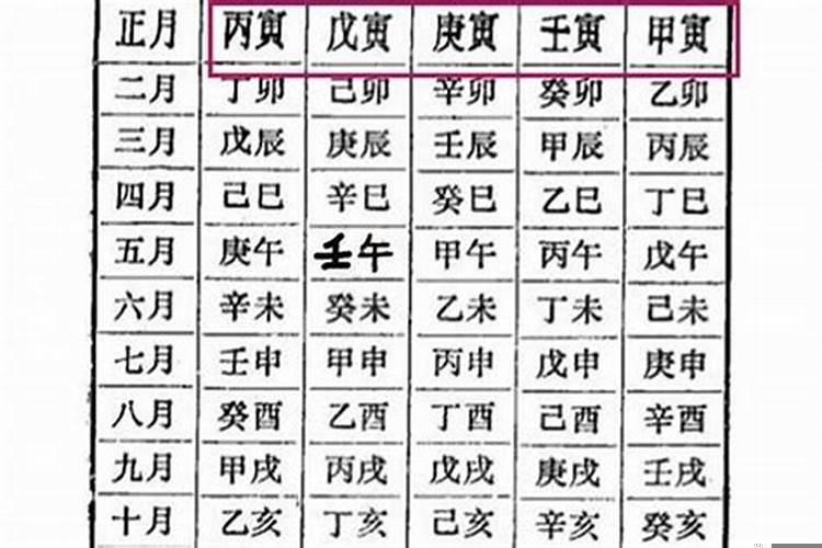 壬申己酉辛丑甲午八字分析