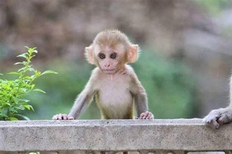 梦见很多陌生人在一起吃饭