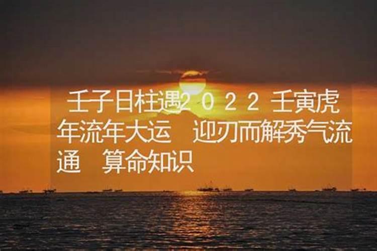 甲午日柱遇壬寅流年运势