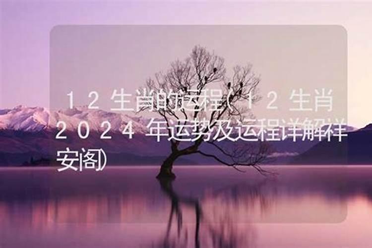 10月出生属鼠人的运程和财运