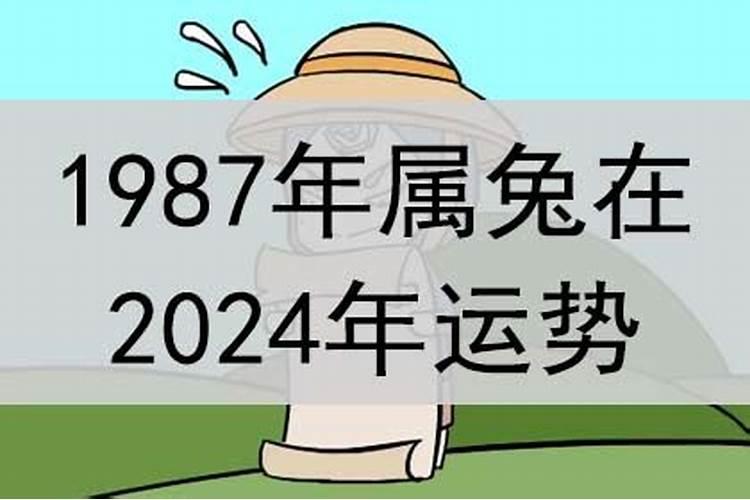 珠字的五行是什么