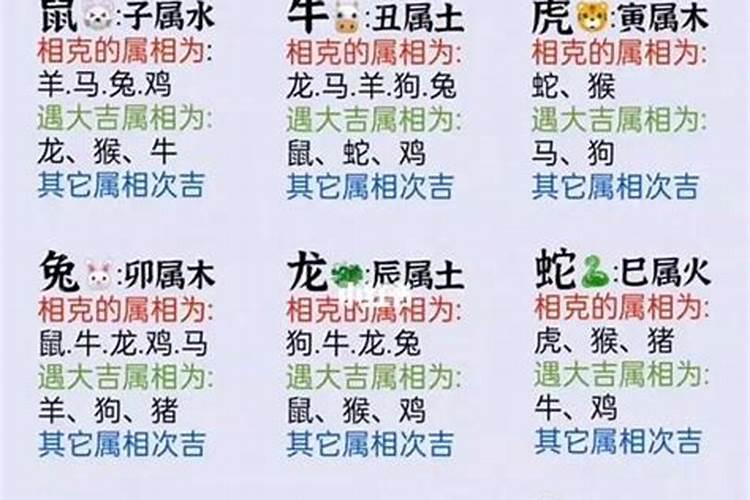 属相不合的人可以结婚吗