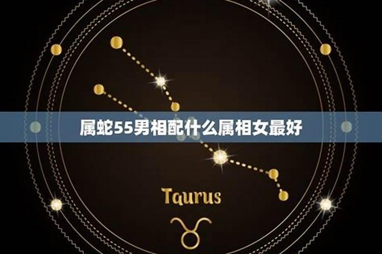 什么星座相配最好