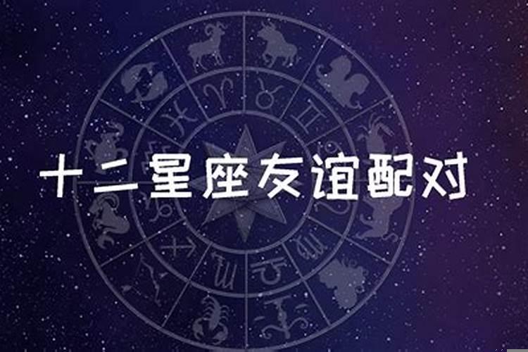 什么星座相配最好