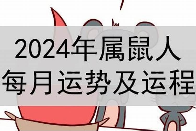 属猪今年运气不好