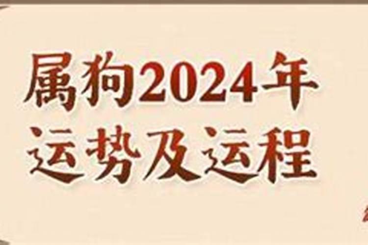 在2023年属蛇女运势如何