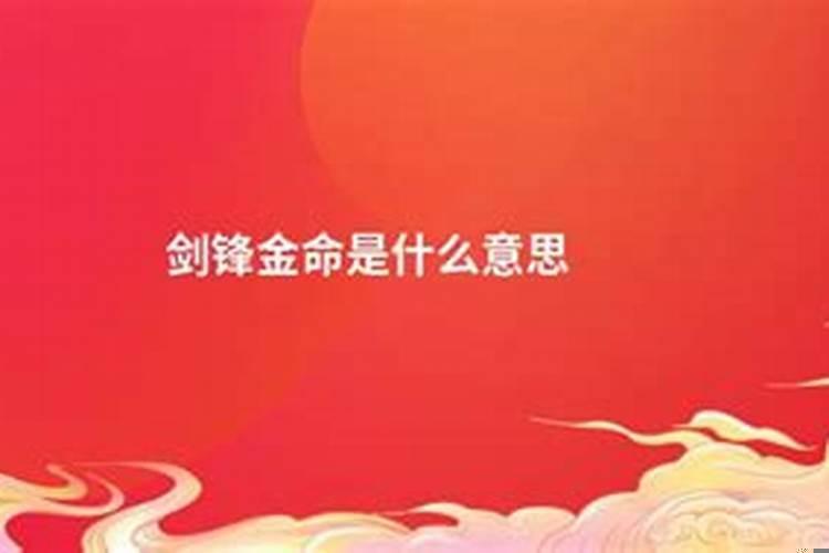 属兔适合佩戴什么手串最好