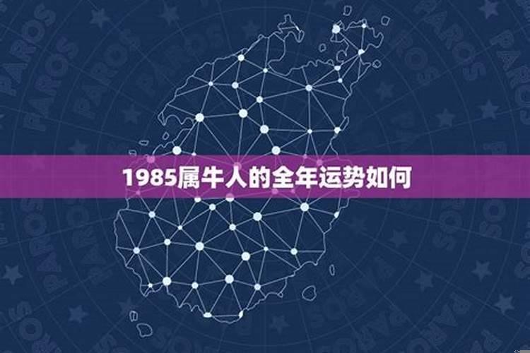 1985年属牛人全年运势如何