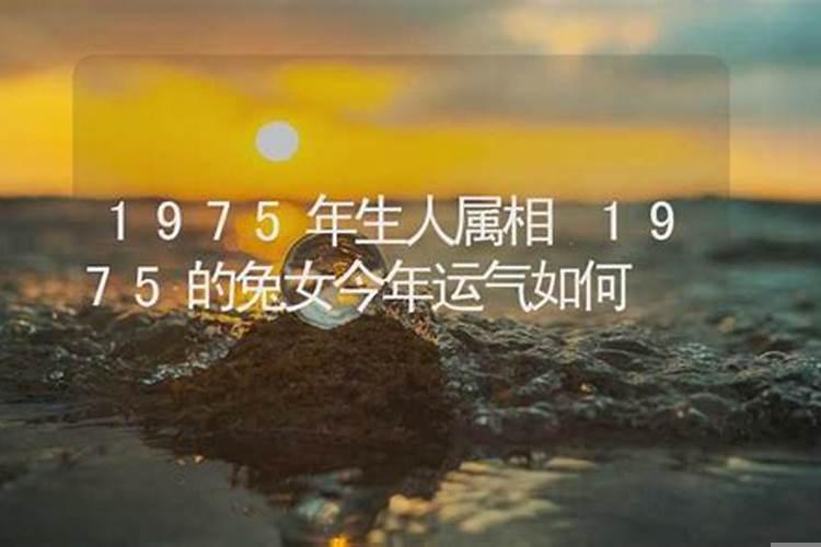 1975年今年运势如何