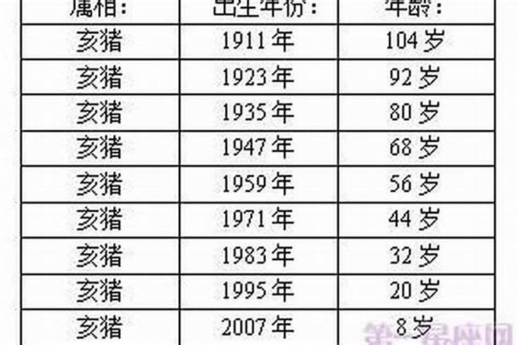 1995年出生狗年年运势