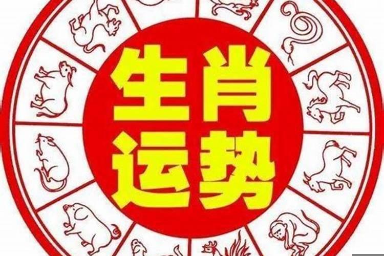 怎样判断你是什么生肖