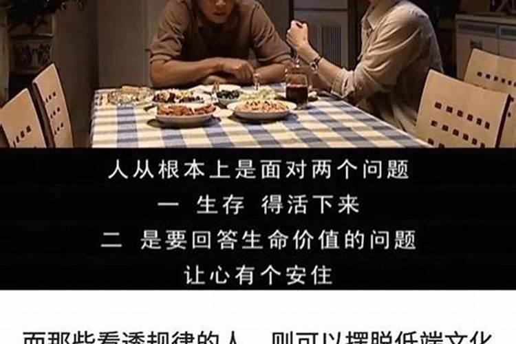 生肖属蛇和牛合不合