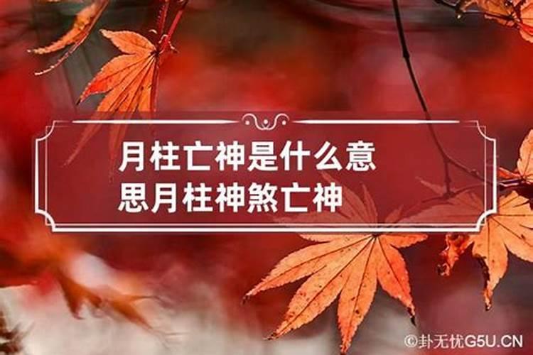 八字正印多的女命