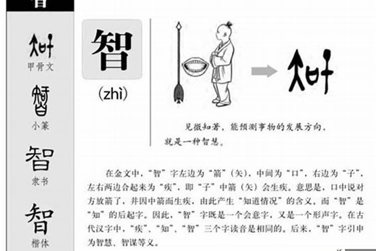 辉字在五行属性是什么