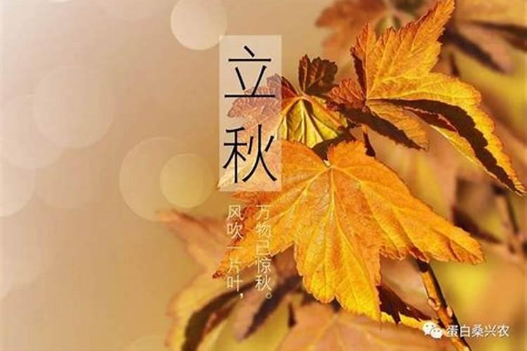 五行属火旺财的吉祥字