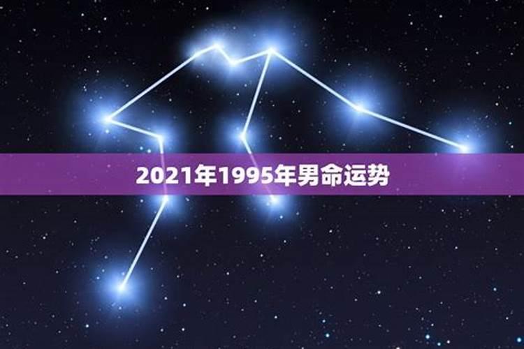 1995年属猪12月今年运势