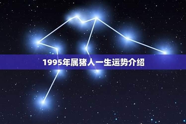 1995年生的人一生运势