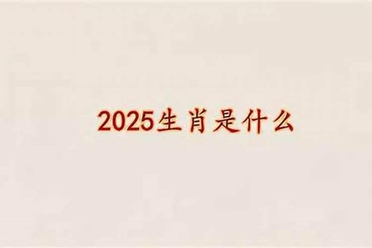 2025年五行属什么命