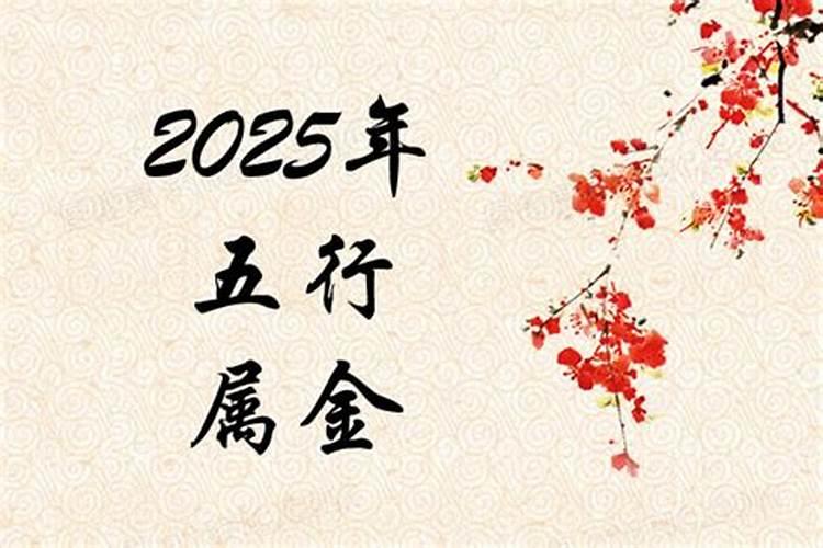 2025年五行属什么命