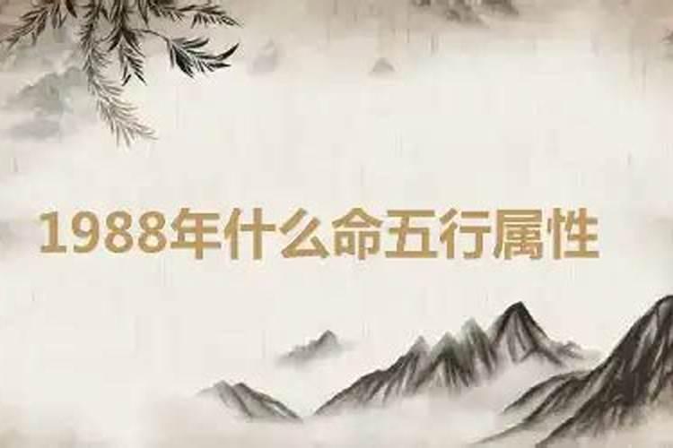 82年狗2023年运势如何月解析