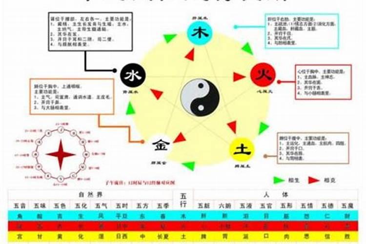 梦见狗猫和老鼠