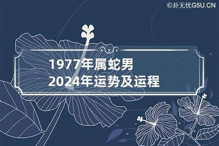 1971年属猪人2023年运势及运程