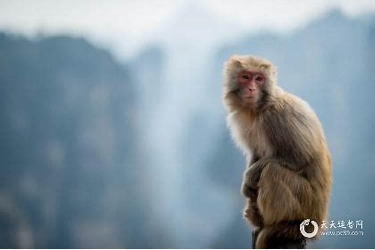 男人梦见会飞是什么意思