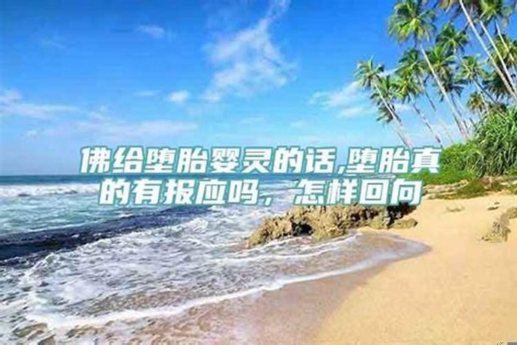 属兔在牛年的运气如何