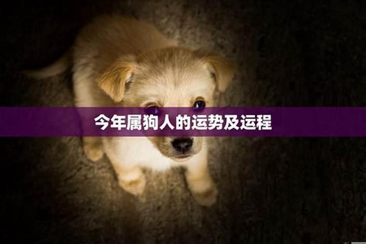 梦到跟人吵架是什么征兆周公解梦