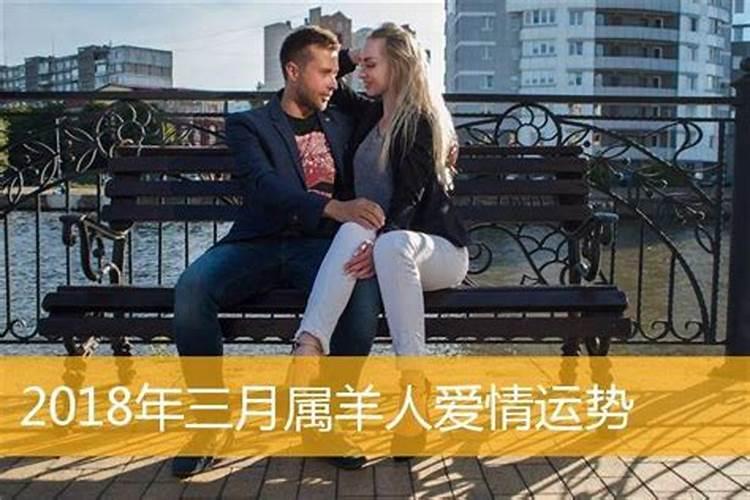 属羊今年感情婚姻如何