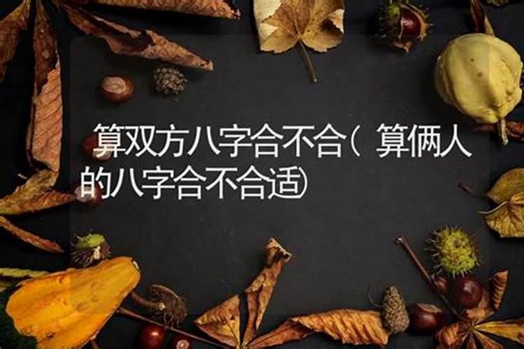 算俩人八字合不合