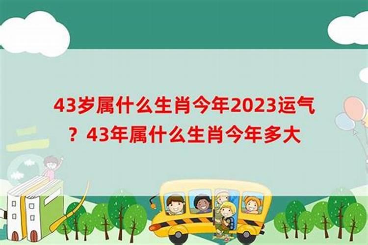 无声胜有声指什么生肖