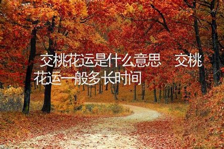 请问桃花运是什么意思