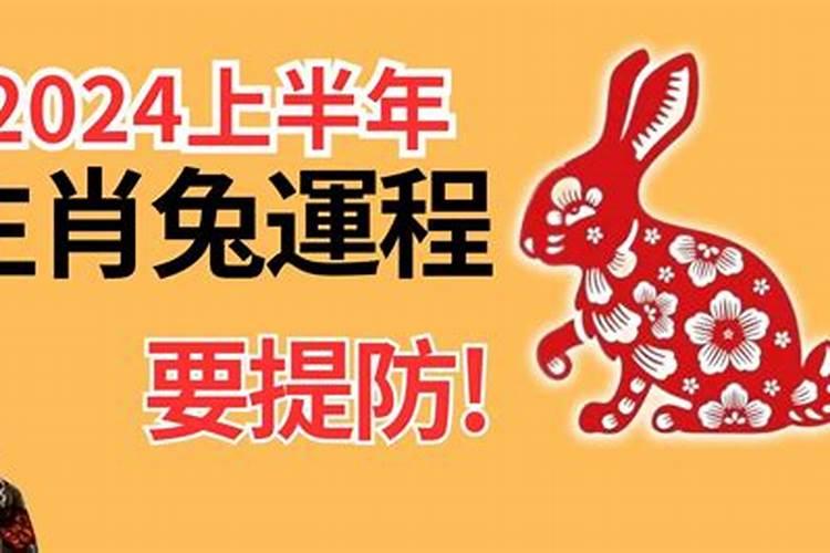 属龙的今年多大年龄多少