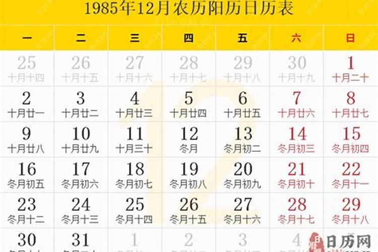 1985年农历腊月十九