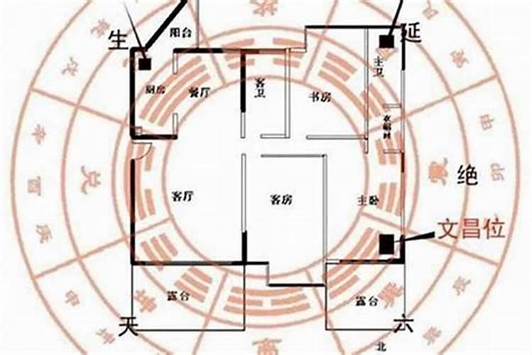 12生肖犯太岁