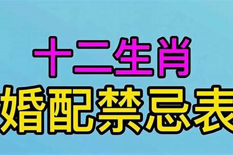 十二生肖最佳婚配与忌配