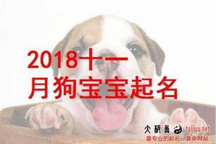 财神爷过生日三月十五出生好不好