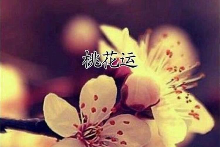 妞字是什么生肖