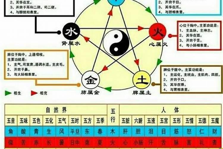 算六爻是什么意思