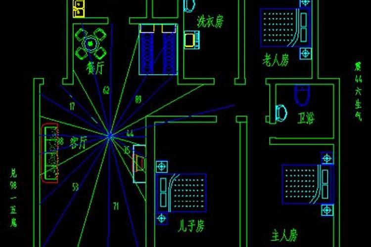 属蛇的人6月份运气