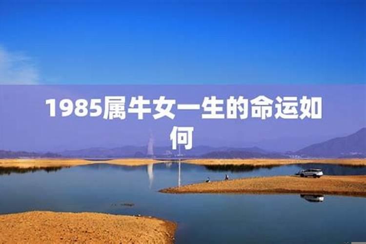 1985年出生11至12月运势如何