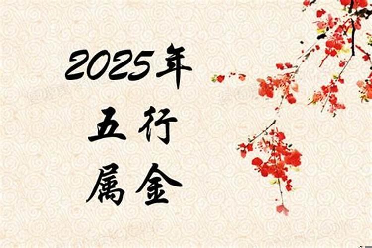 2028年五行属什么