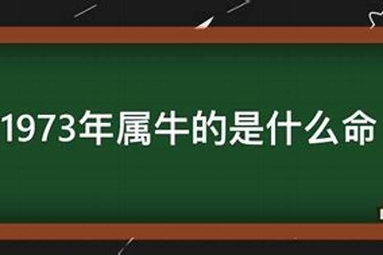 有关哺乳期的婚姻法律